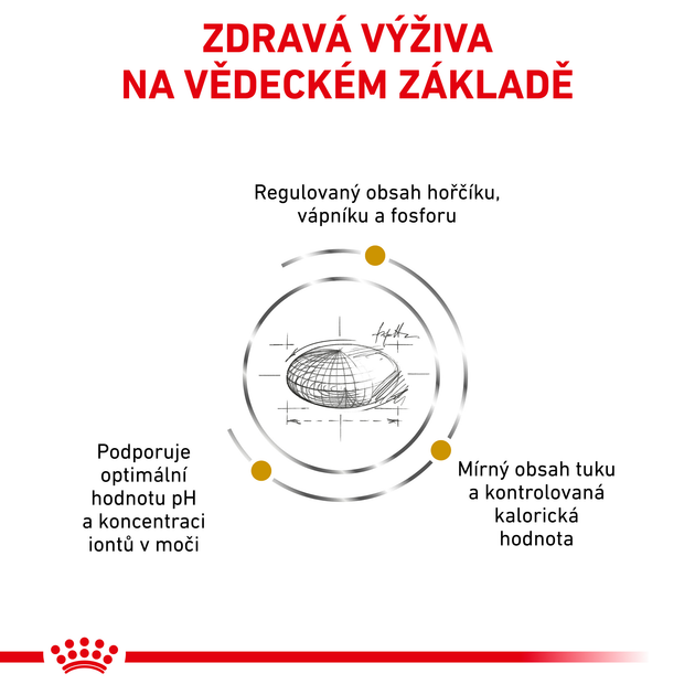 Sucha karma dla dorosłych kotów Royal Canin Urinary S/O Moderate Calorie Cat 3,5 kg (3182550764551) (3954035) - obraz 4