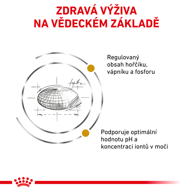 Сухой корм для дорослих кішок Royal Canin Urinary S/O Cat 400 г (3182550711043) (39010041) - зображення 4