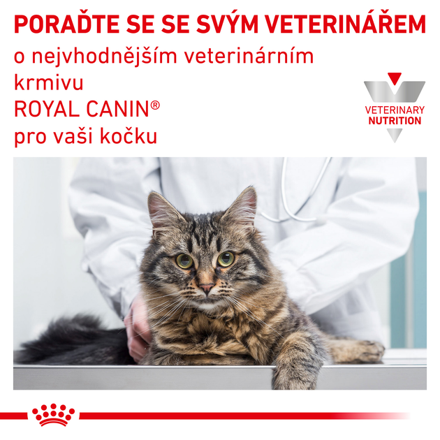 Сухой корм для дорослих кішок Royal Canin Urinary S/O Cat 400 г (3182550711043) (39010041) - зображення 9