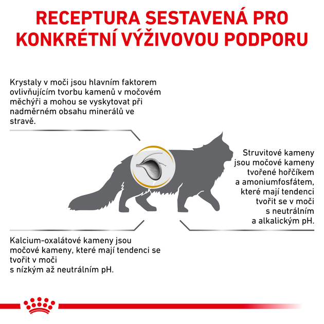 Сухой корм для дорослих кішок Royal Canin Urinary S/O Cat 400 г (3182550711043) (39010041) - зображення 10