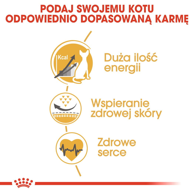 Sucha karma dla dorosłych kotów Royal Canin Sphynx Adult 10 kg (3182550758857) (2556100) - obraz 5