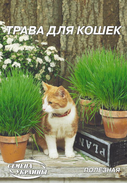 Семена Трава для кошек, 20 г (Семена Украины) - Фото 1 Семена Трава для кошек, 20 г (Семена Украины) - изображение 1