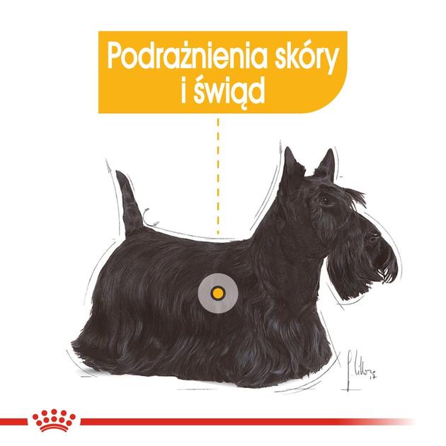 Сухий корм для собак Royal Canin Mini Dermacomfort з подразненою та сверблячою шкірою 3 кг (3182550893916) (2441030) - зображення 3