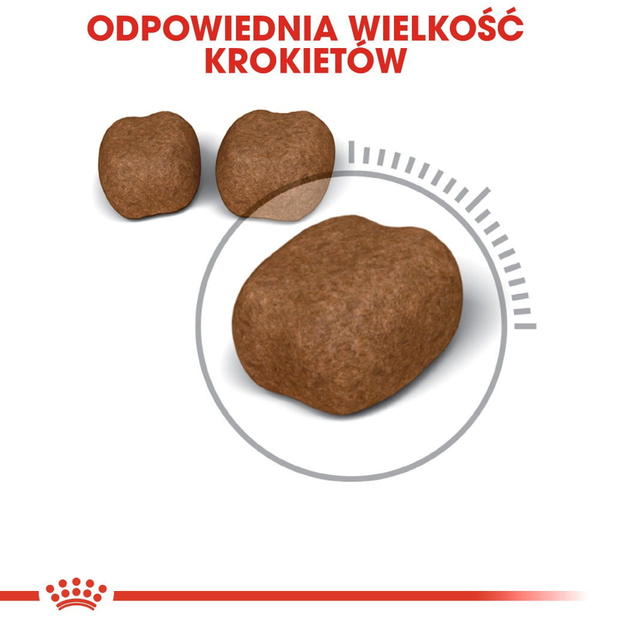 Sucha karma dla kotów Royal Canin Oral Care 400 g (3182550717175) - obraz 4