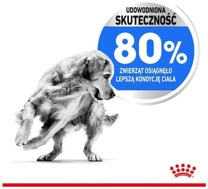 Sucha karma dla psów Royal Canin Medium Light Weight Care 3 kg (3182550852319) (30210301) - obraz 5