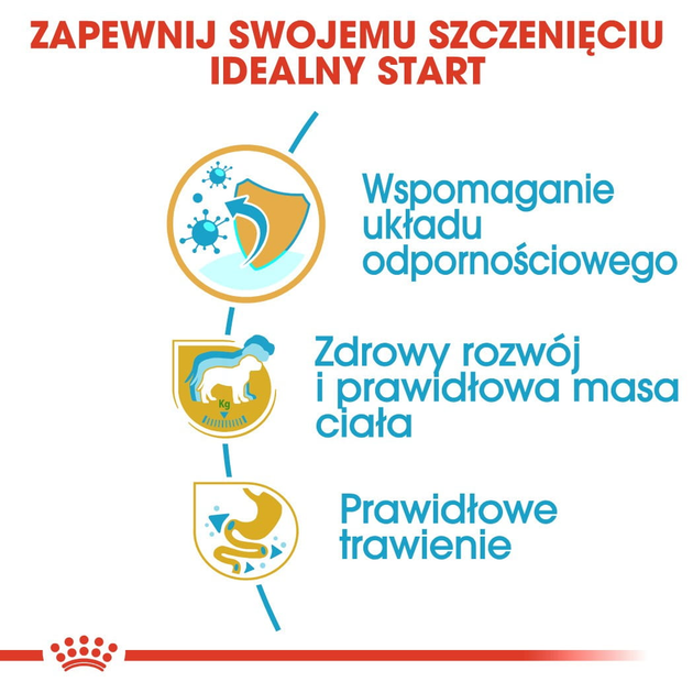 Sucha karma pełnoporcjowa dla szczeniąt Royal Canin Labrador Retriever Puppy dla rasy labrador retriver do 15 miesiąca życia 3 kg (3182550725507) - obraz 5