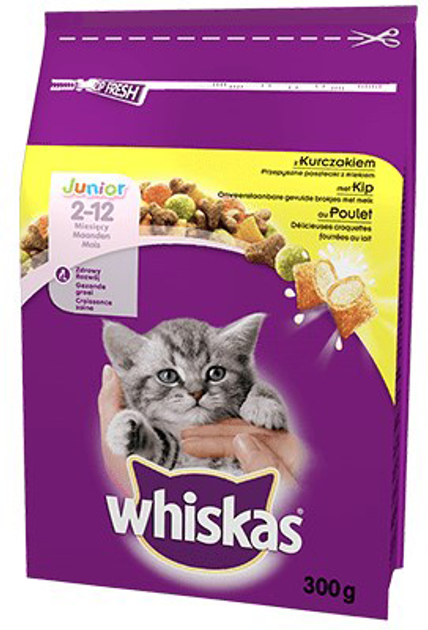 Сухий корм для котів WHISKAS Junior z kurczakiem 300g (5900951014079) - зображення 1