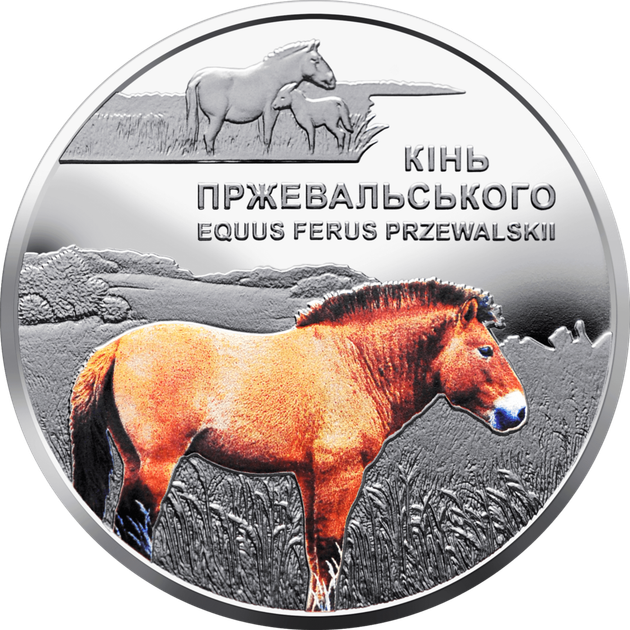 Монета НБУ "Кінь Пржевальського" - изображение 4