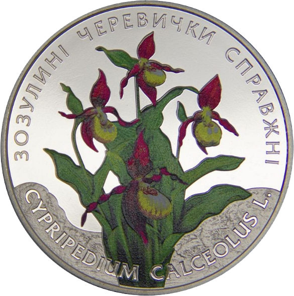 Монета НБУ "Зозулині черевички справжні" - изображение 4