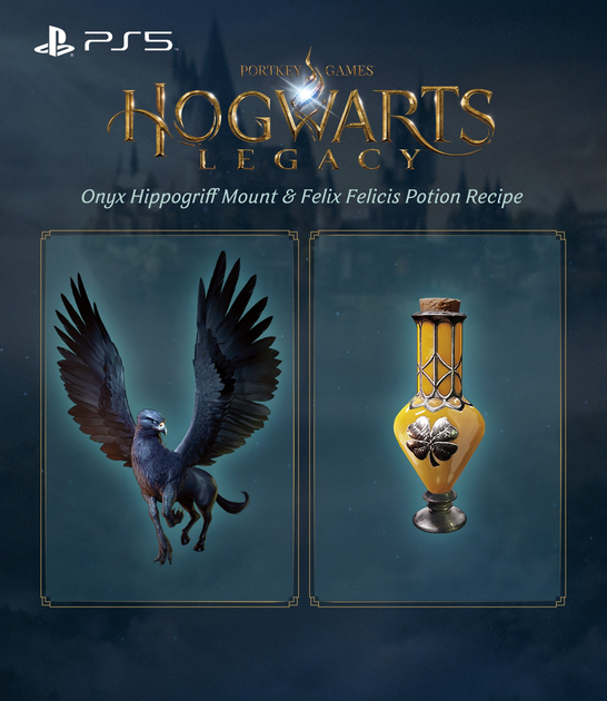 ROZETKA » Игра Hogwarts Legacy для PS4 (Blu-ray диск) купить в Украине ...