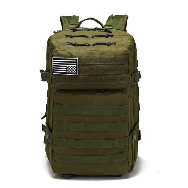 Тактичний рюкзак на 40л BPT9-40 Molle Olive - зображення 1