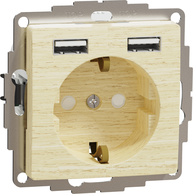 Розетка со шторками и 2 USB разъемами типа A + A Schneider Electric ...
