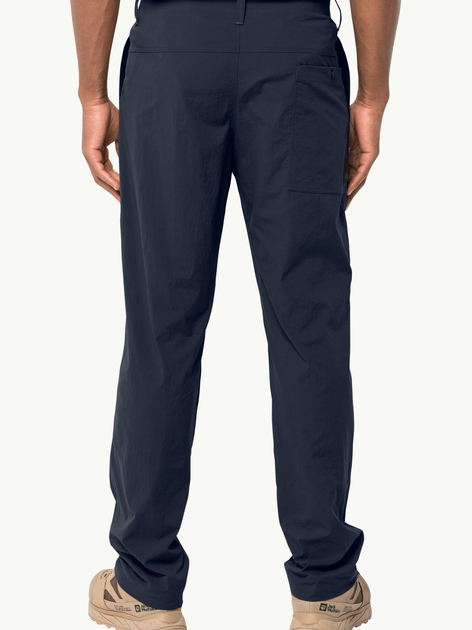 Спортивные штаны мужские Jack Wolfskin Desert Pants M 1508331-1010 50 ...