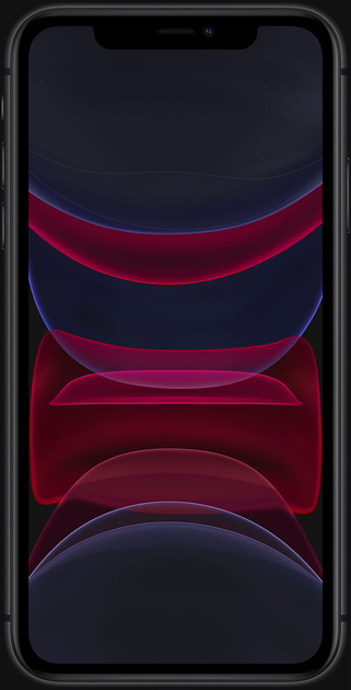 Мобільний телефон Apple iPhone 11 128GB Black (MHDH3) - зображення 4
