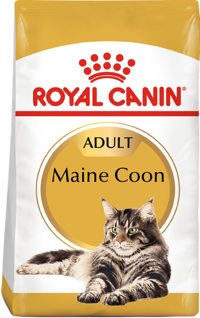 Sucha karma dla dorosłych kotów Royal Canin Mainecoon Adult 2 kg (3182550710640) - obraz 1