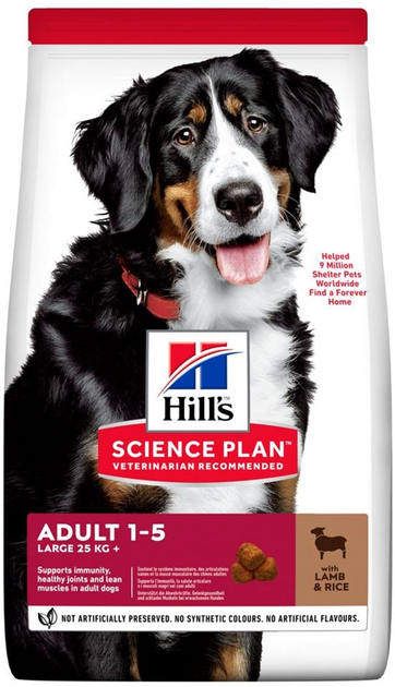 Sucha karma dla dorosłych psów dużych ras Hill’s Science Plan Adult Large Breed z jagnięciną i ryżem 14 kg (052742025889) - obraz 1