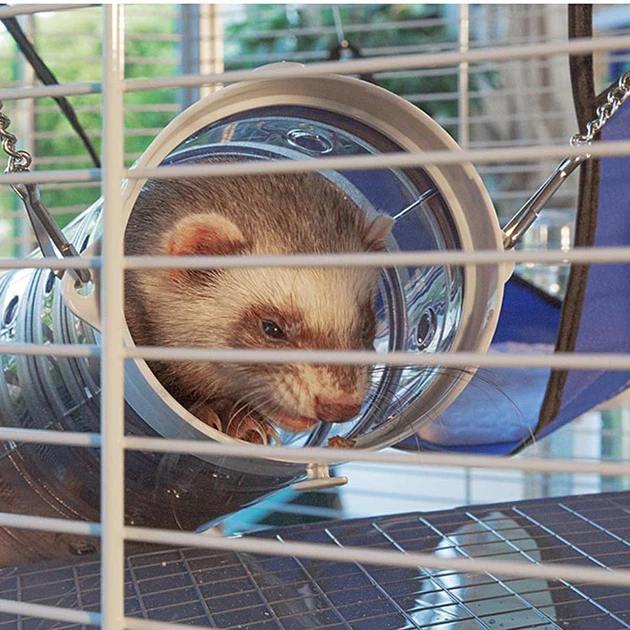 Клетка для хорьков и шиншилл Ferplast Furet Tower 75х80х161 см (57063414) - Фото 5 Клетка для хорьков и шиншилл Ferplast Furet Tower 75х80х161 см (57063414) - изображение 5
