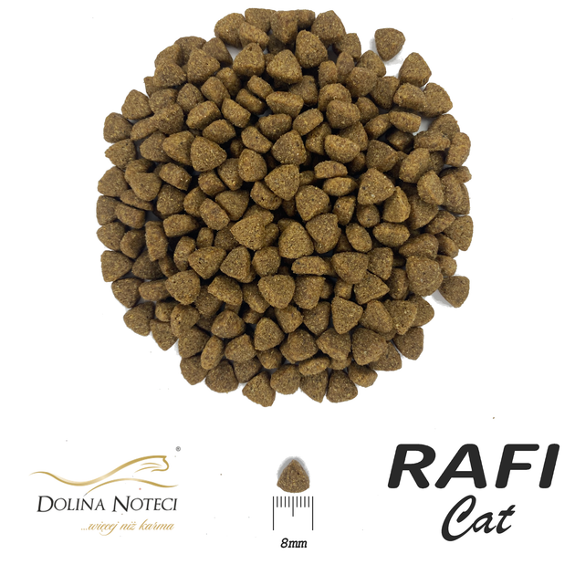 Dolina Noteci RAFI Cat