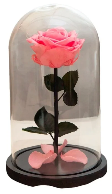 Троянда в колбі під скляним куполом яскрава ніжно рожева Rose of Love стабілізована квітка вічна троянда 16 см Pink + Кулон "Я Люблю Тебе" ста мовами світу - зображення 6