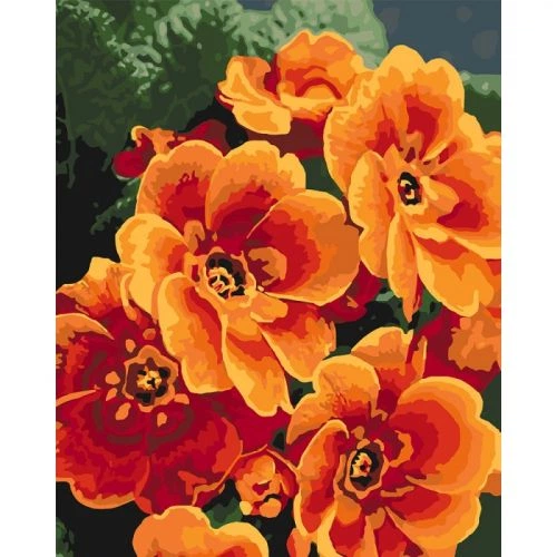 Картина по номерам \"Примула оранжевая\" – низькі ціни, кредит, оплата ...
