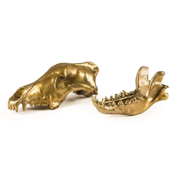 Фигура волчий череп "Diesel-wolf skull" 14 x 28 х 12 см 4008992 - Фото 4 Фигура волчий череп "Diesel-wolf skull" 14 x 28 х 12 см 4008992 - изображение 4