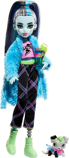 Кукла Френки Монстер Хай - ROZETKA. Купить недорого куклу Френки Штейн  Monster High в Украине: цена, 📦 продажа