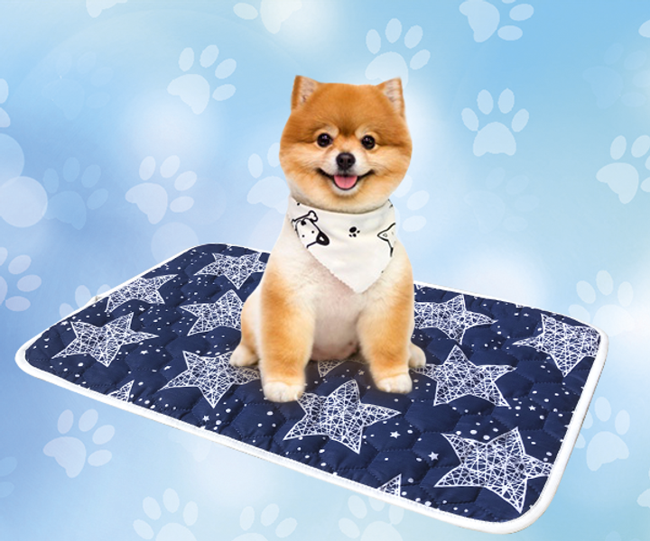 Описание Trixie PAD NAPPY WASH многоразовая пеленка для собак
