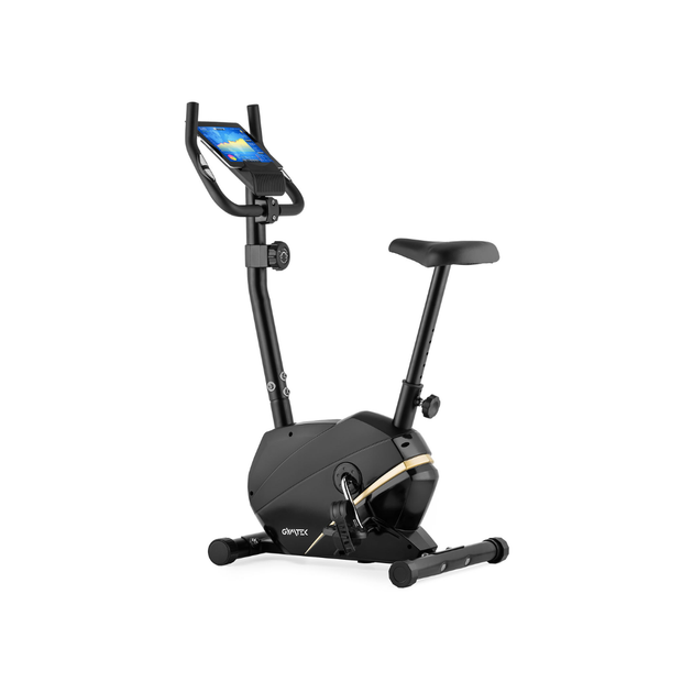 Велотренажер Gymtek XB800 магнитный золотой - изображение 3