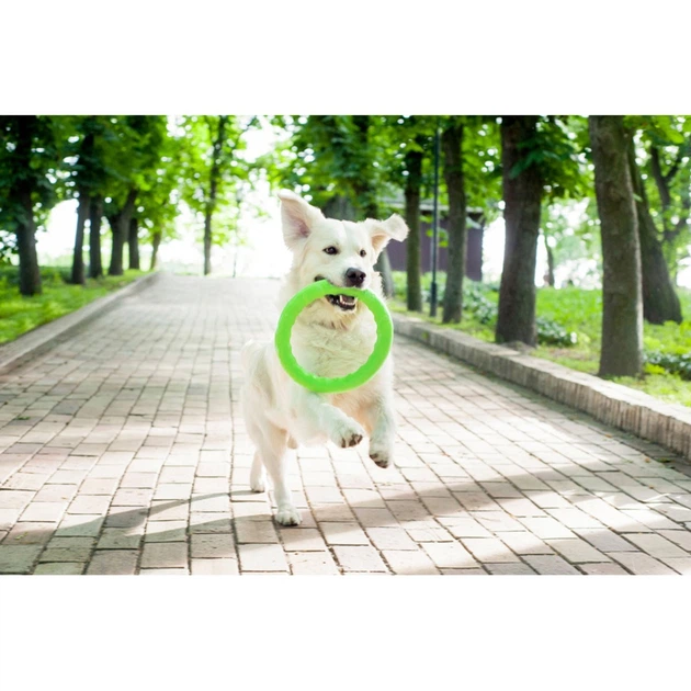 Іграшка для собак Collar PitchDog кільце для апортування Ø 20 см, салатовий (4823089302423)A - изображение 4