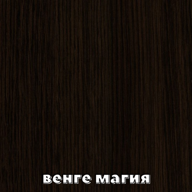 Шкаф-купе двухдверный угловой Алекса 100*100*220 см Венге магия ДСП + Зеркало Угол-1 - изображение 3