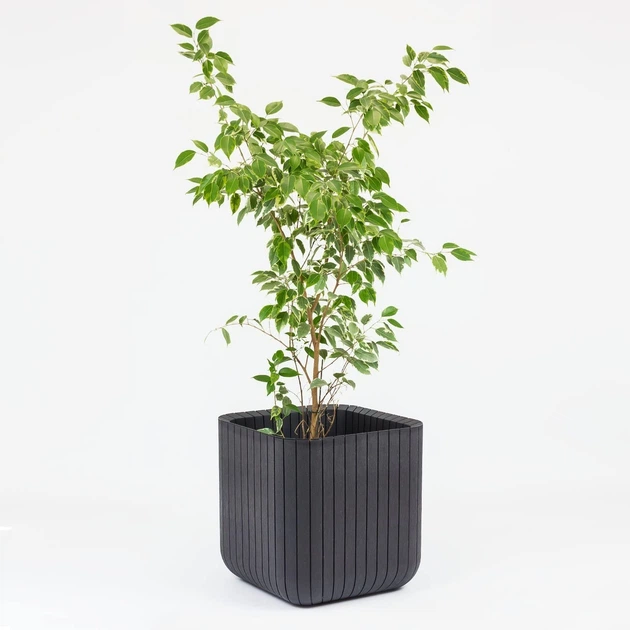 Горщик для квітів Keter Cube Planter L антрацит (17201220) - зображення 9