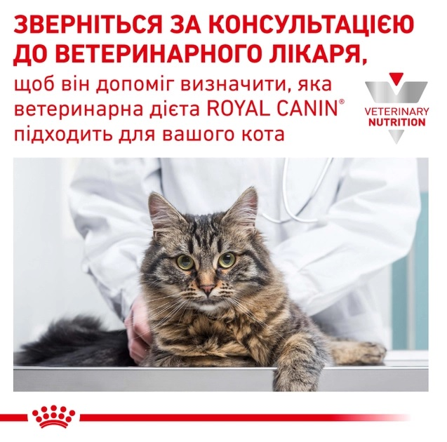 Royal Canin Urinary S O Feline