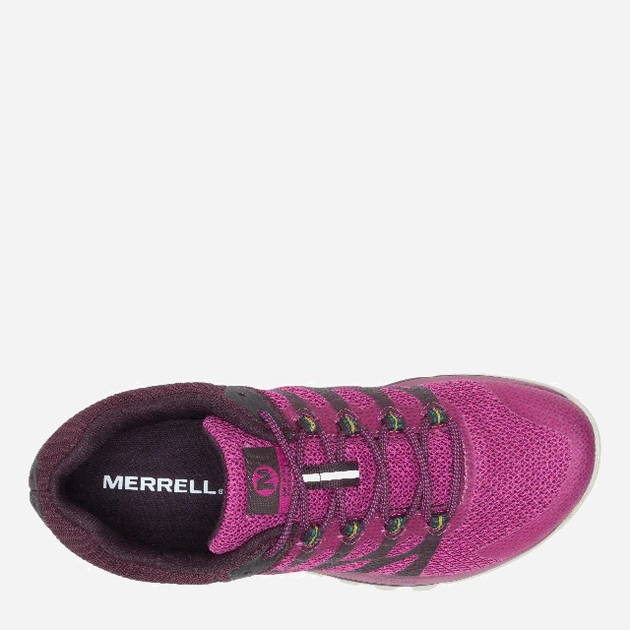Buty do biegania damskie Merrell Antora 2 GTX W J067198 39 (8.5US) 25.5 cm Malinowe (195017322624) - obraz 4
