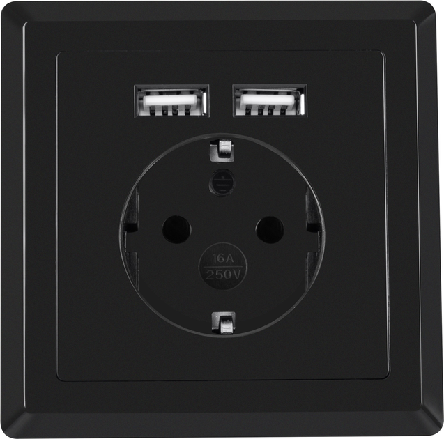 Розетка Lanberg Schuko Socket 2 USB Port 2.1A Чорна (AC-WS01-USB2-F-B) - зображення 1