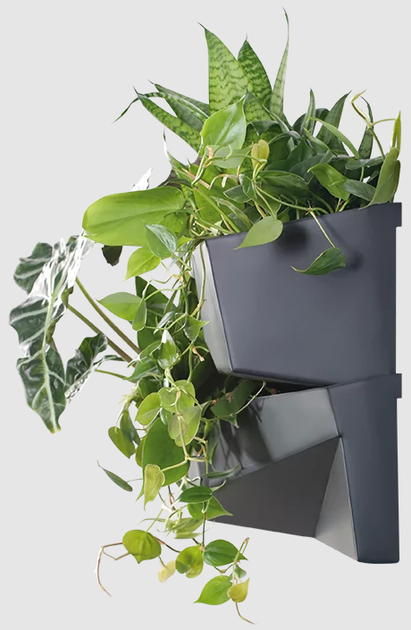 Садові вертикальні модульні горщики Prosperplast Cascade Garden Wall IO3W800-S433 антрацит - зображення 3
