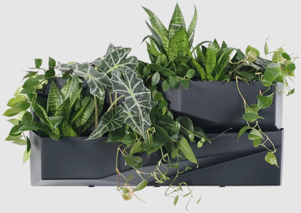 Садові вертикальні модульні горщики Prosperplast Cascade Garden Wall IO3W800-S433 антрацит - зображення 4