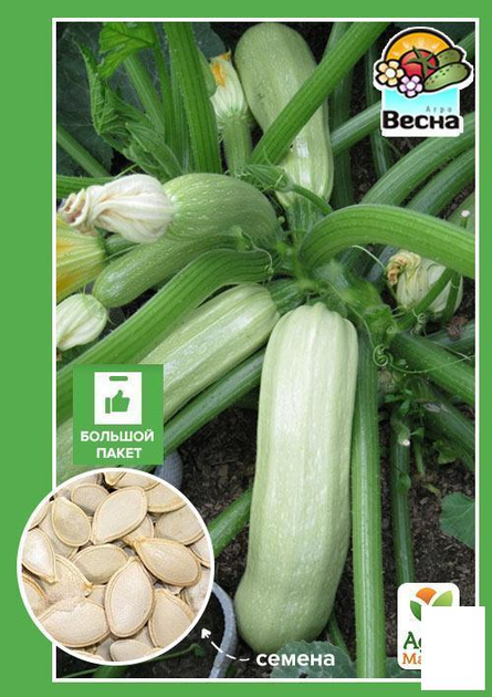 Кабачок "Кустовой" (Большой пакет) Agro-Market 5г (32630) – фото ...