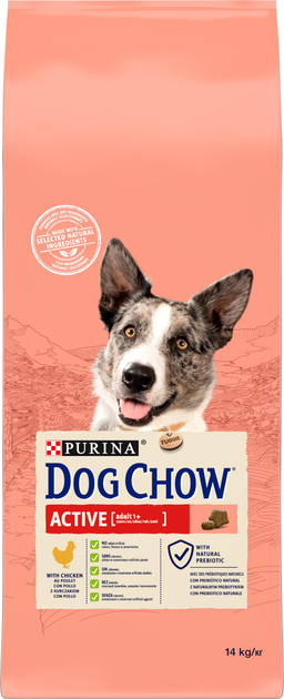 Karma sucha dla psów Purina Dog Chow Active 14 kg (DLZBEZKSP0010) - obraz 1