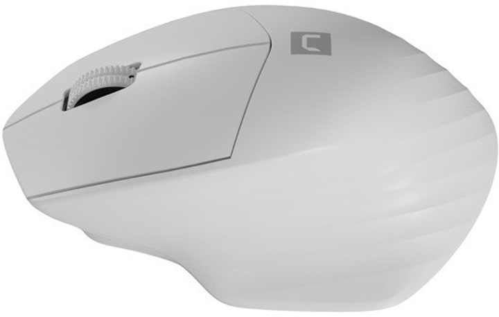 Mysz Natec Siskin 2 Bezprzewodowa/Bluetooth Biała (NMY-1972) - obraz 3