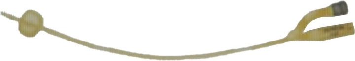 Баллонный катетер Teleflex Фолея 2-ходовой RÜSCH Gold Ch 12 №10 (180630-000120) - изображение 1