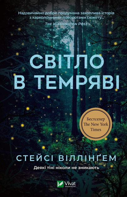 Книга Світло в темряві - В. Стейсі (9786171700338) – купить в Украине ...