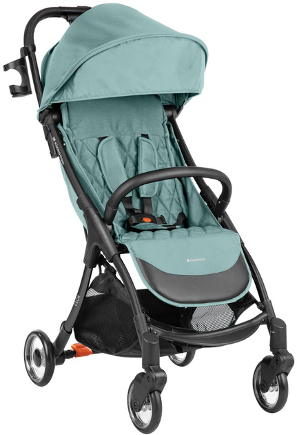 Коляска прогулочная Kikka Boo Cloe Mint 2023 (31001030161) – Купить с ...