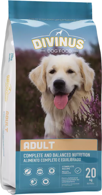 Sucha karma dla psów Divinus adult dla psów dorosłych 20kg mix smaków (5600276940106) - obraz 1