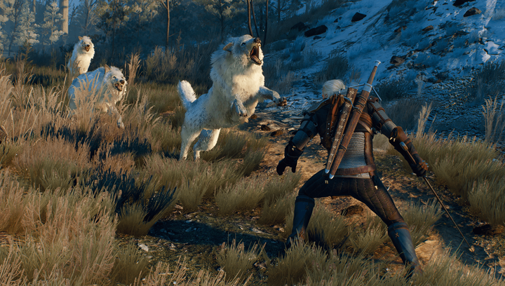 Гра Sony PlayStation 4 The Witcher 3: Wild Hunt Complete Edition Російська Озвучка - зображення 2