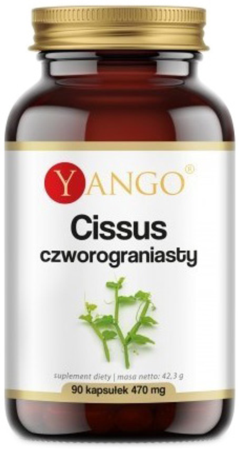 Харчова добавка Yango Cissus Quadrilateral 470 мг 90 капсул (5903796650518) - зображення 1