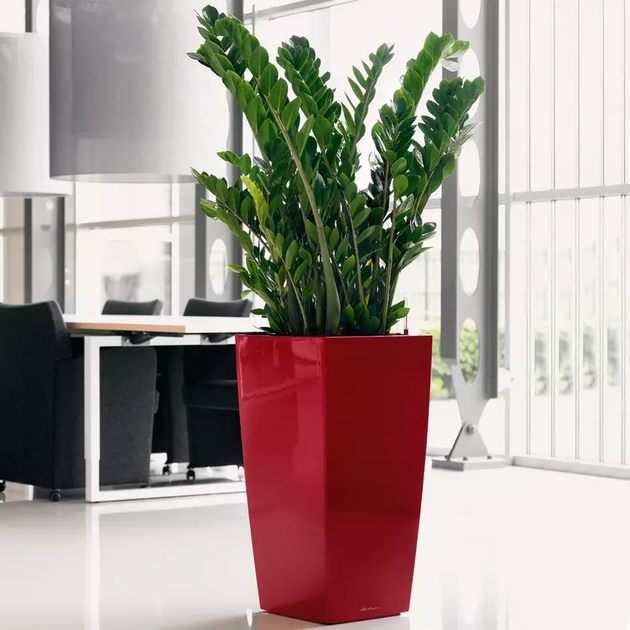 Вазон Lechuza Cubico Premium 50 Белый - изображение 2