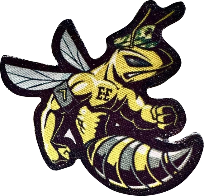 Военный шеврон Shevron.patch 8 x 7.5 см Черно-желтый (89-468-9900) - изображение 1