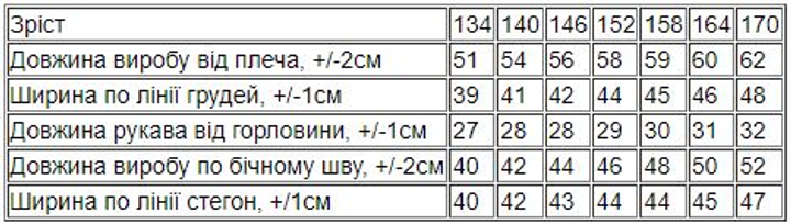 Подростковый летний комплект (футболка + шорты) для мальчика Носи своє 6336-057 140 см Серый (p-11428-123799) 