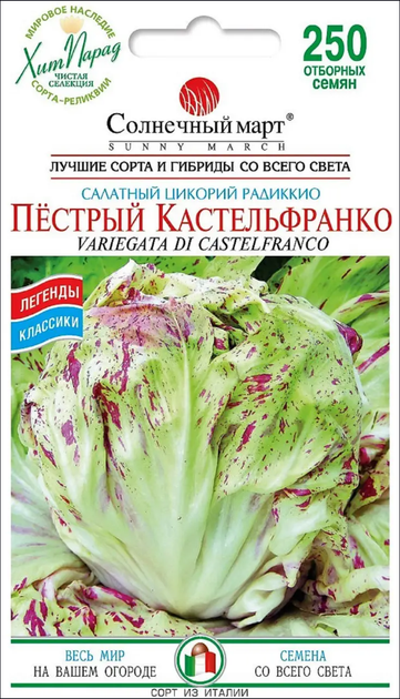 Насіння Цикорій Строкатий Кастельфранко, 250 шт (Сонячний березень) - Фото 1 Насіння Цикорій Строкатий Кастельфранко, 250 шт (Сонячний березень) - зображення 1