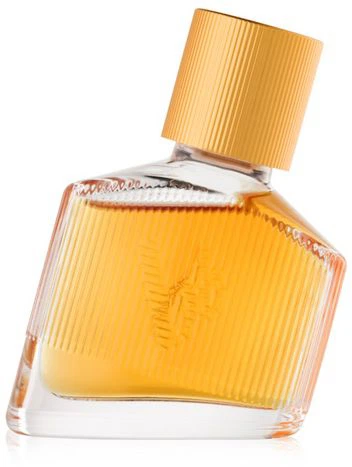 Woda toaletowa męska Bruno Banani Man's Best 30 ml (3616301640899) - obraz 2